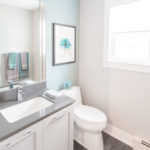 image of bathroom remodel and toilet